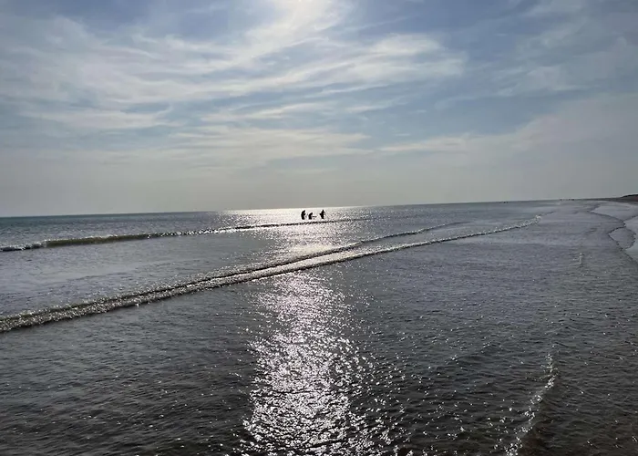 Renove 2 Pieces Avec Balcon, A 200m De La Plage, St Hilaire De Riez - Fr-1-224c-318